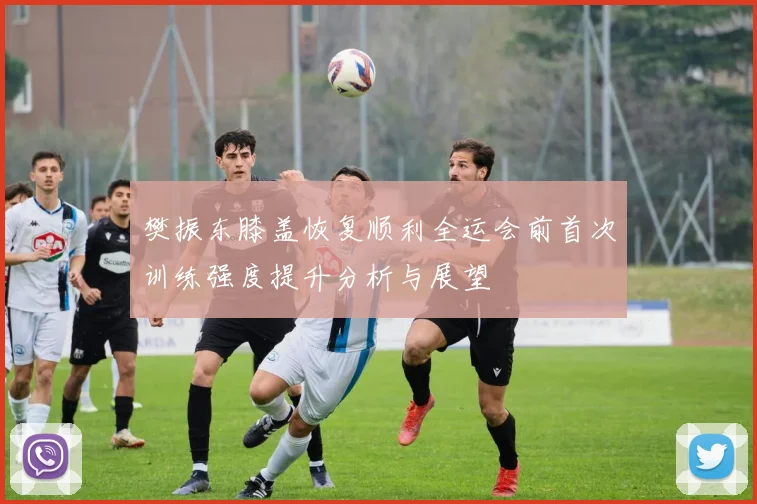 樊振东膝盖恢复顺利全运会前首次训练强度提升分析与展望